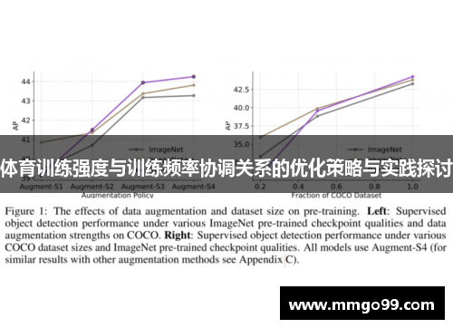 体育训练强度与训练频率协调关系的优化策略与实践探讨